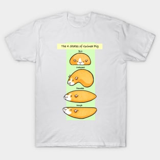 The 4 States of Guinea Pig T-Shirt